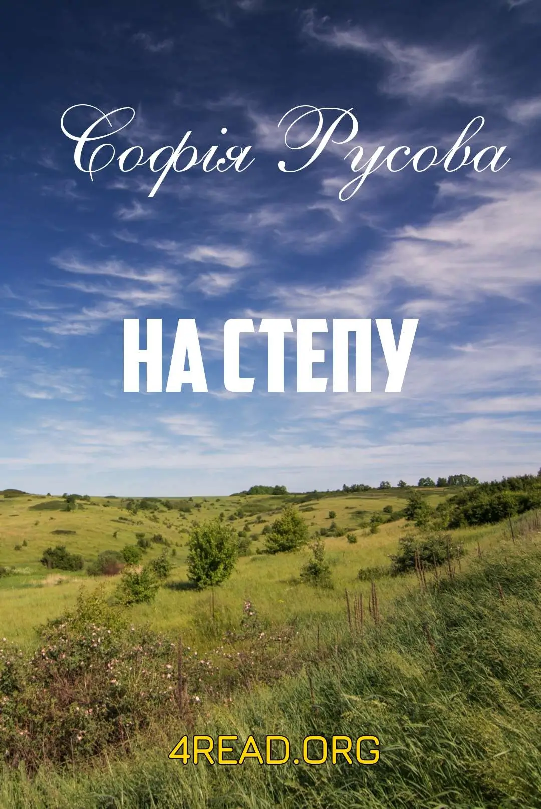 На степу